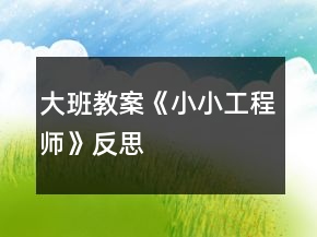 大班教案《小小工程師》反思