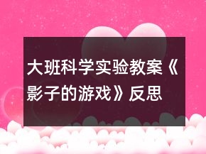 大班科學(xué)實驗教案《影子的游戲》反思