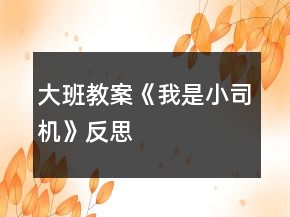 大班教案《我是小司機》反思