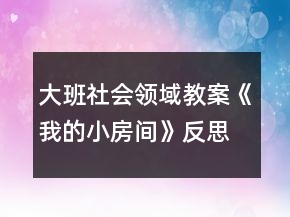 大班社會(huì)領(lǐng)域教案《我的小房間》反思