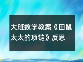 大班數(shù)學(xué)教案《田鼠太太的項(xiàng)鏈》反思