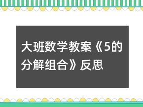 大班數(shù)學(xué)教案《5的分解組合》反思