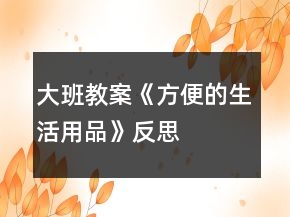 大班教案《方便的生活用品》反思