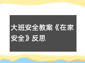 大班安全教案《在家安全》反思