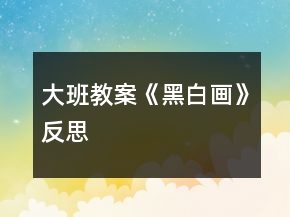大班教案《黑白畫》反思