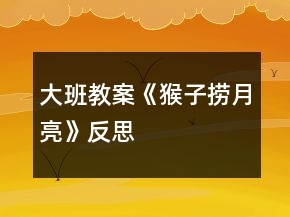 大班教案《猴子撈月亮》反思