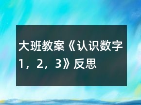 大班教案《認識數(shù)字1，2，3》反思