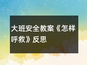 大班安全教案《怎樣呼救》反思