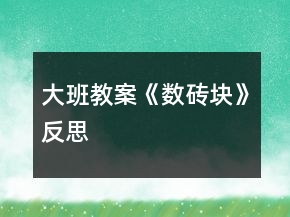 大班教案《數(shù)磚塊》反思