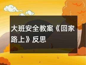 大班安全教案《回家路上》反思