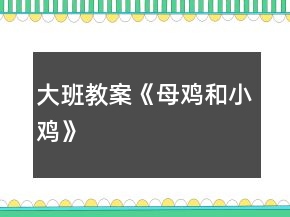 大班教案《母雞和小雞》