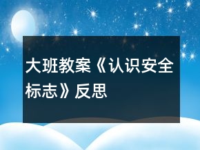 大班教案《認識安全標志》反思