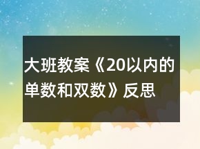 大班教案《20以內(nèi)的單數(shù)和雙數(shù)》反思