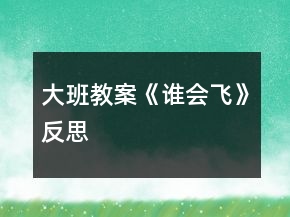 大班教案《誰會飛》反思
