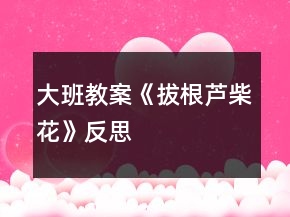 大班教案《拔根蘆柴花》反思