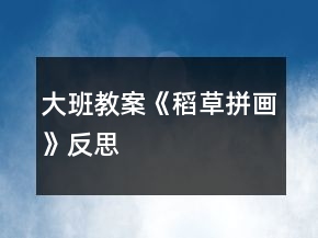 大班教案《稻草拼畫》反思