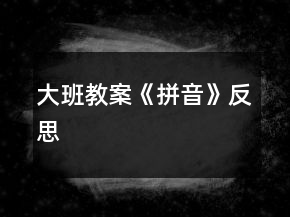 大班教案《拼音》反思