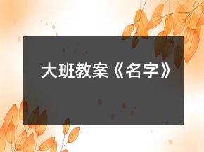 大班教案《名字》
