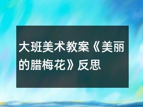 大班美術(shù)教案《美麗的臘梅花》反思