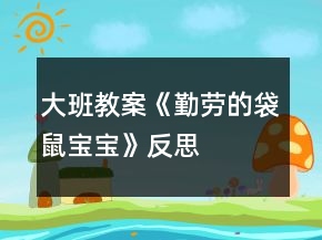 大班教案《勤勞的袋鼠寶寶》反思