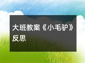 大班教案《小毛驢》反思