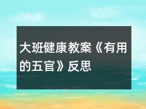 大班健康教案《有用的五官》反思
