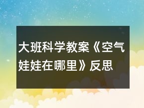 大班科學(xué)教案《空氣娃娃在哪里》反思