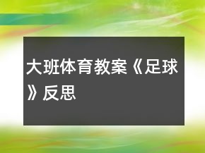 大班體育教案《足球》反思