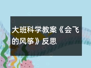 大班科學(xué)教案《會(huì)飛的風(fēng)箏》反思