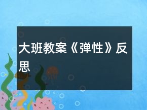 大班教案《彈性》反思