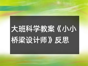 大班科學教案《小小橋梁設計師》反思