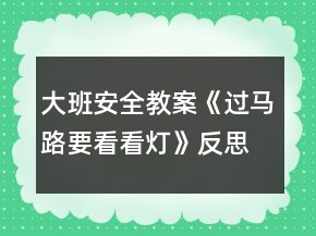 大班安全教案《過馬路要看看燈》反思