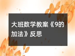 大班數(shù)學(xué)教案《9的加法》反思