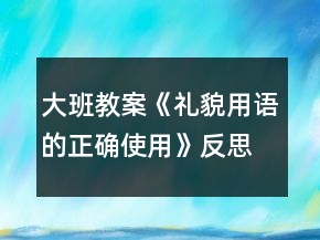 大班教案《禮貌用語的正確使用》反思