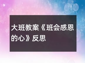 大班教案《班會感恩的心》反思