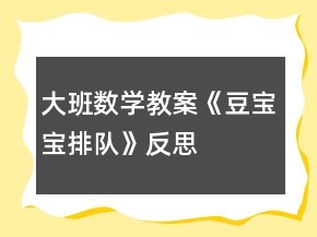 大班數(shù)學(xué)教案《豆寶寶排隊》反思