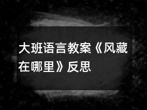 大班語(yǔ)言教案《風(fēng)藏在哪里》反思