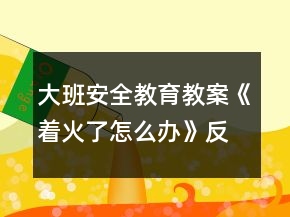 大班安全教育教案《著火了怎么辦》反思