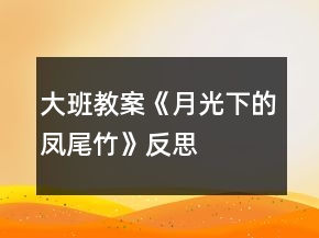 大班教案《月光下的鳳尾竹》反思