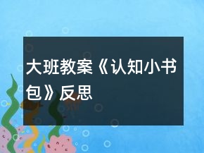 大班教案《認(rèn)知小書包》反思