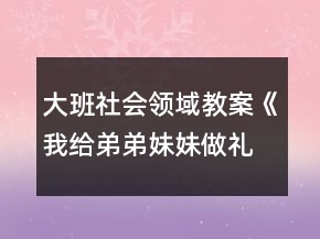大班社會(huì)領(lǐng)域教案《我給弟弟妹妹做禮物》反思