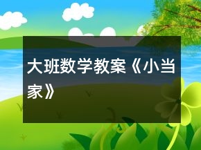 大班數(shù)學(xué)教案《小當(dāng)家》