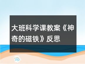 大班科學(xué)課教案《神奇的磁鐵》反思