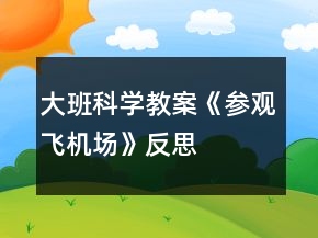 大班科學(xué)教案《參觀飛機(jī)場》反思