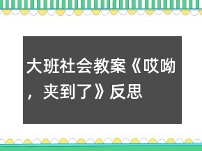 大班社會教案《哎呦，夾到了》反思