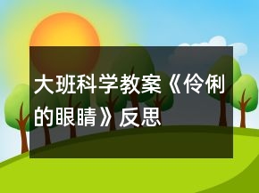 大班科學教案《伶俐的眼睛》反思