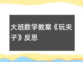 大班數(shù)學(xué)教案《玩夾子》反思