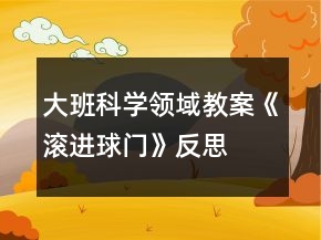 大班科學(xué)領(lǐng)域教案《滾進(jìn)球門》反思