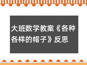 大班數(shù)學(xué)教案《各種各樣的帽子》反思