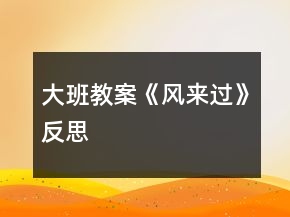 大班教案《風(fēng)來過》反思